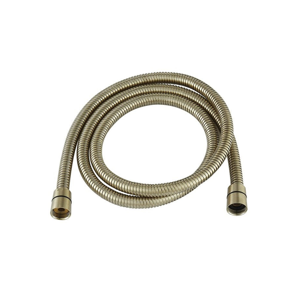 Shower Complements Hand Shower Hose - Wall Mount - 59" Stainless Steel/Satin Brass