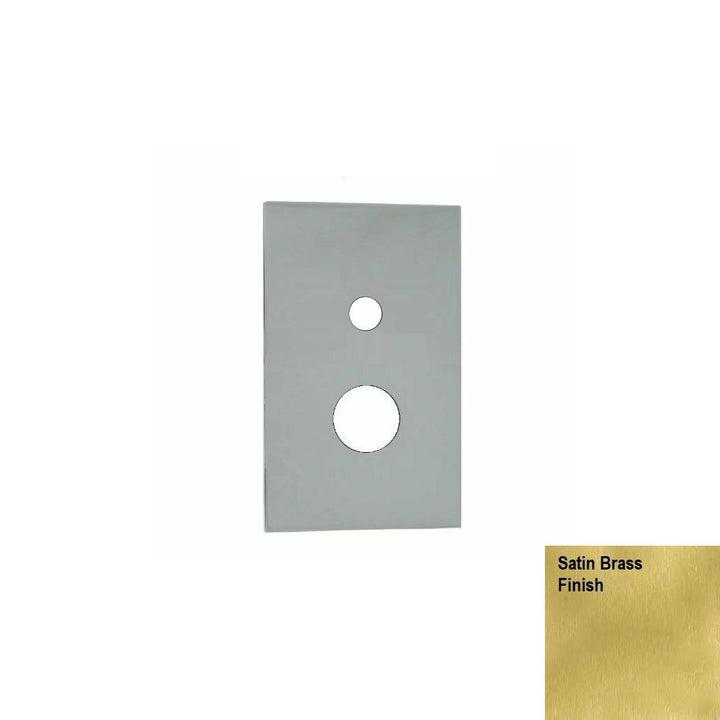 Spares 2 Way Devon Trim Plate - Built-In - 5"